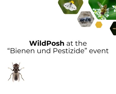 WildPosh research insights at “Bienen und Pestizide” Forum