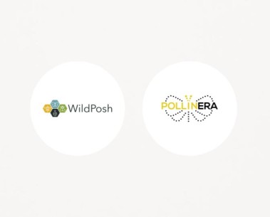 WildPosh and PollinERA strengthen collaboration to protect pollinators across Europe
