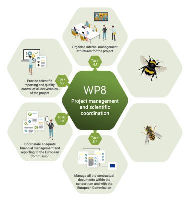 Work package 8 infographic