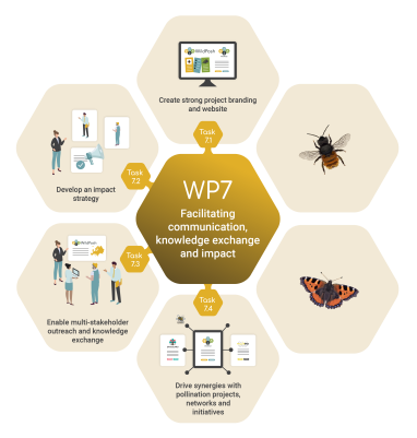 Work package 7 infographic