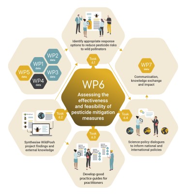 Work package 6 infographic