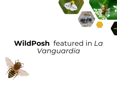 La Vanguardia interview with WildPosh coordinator