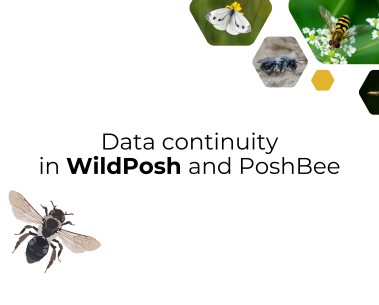 WildPosh coordinator talks about continuity in data management