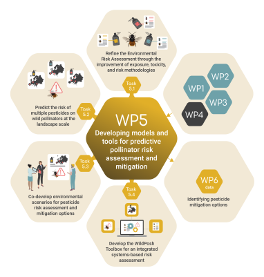 Work package 5 infographic