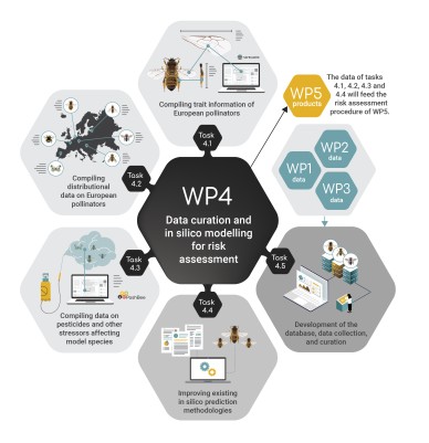 Work package 4 infographic