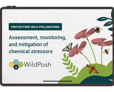 WildPosh releases animated intro video