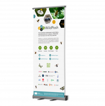 Roll-up banner promotional material