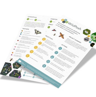 Two-pager promotional material