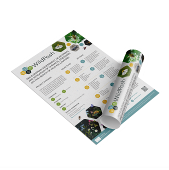 Poster promotional material