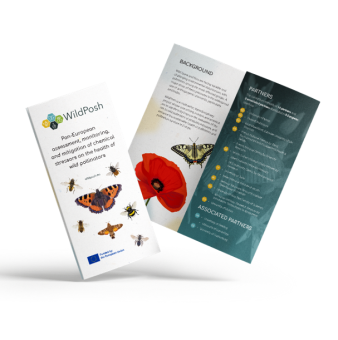 Trifold brochure promotional material