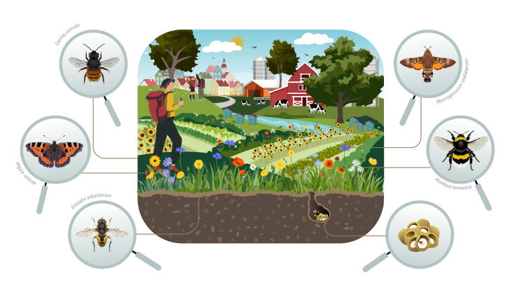 Ilustration of a healthy landscape infographic