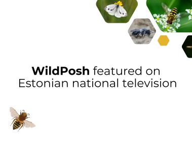 WildPosh featured on Еstonian popular science programme Osoon