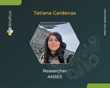 Meet the researchers: Tatiana Cardenas