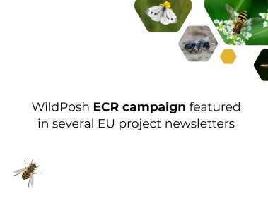 WildPosh mentioned in several EU project newsletters