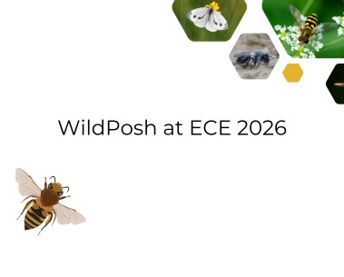 WildPosh partners present research at ECE 2026