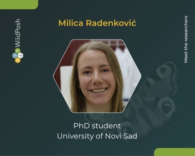 Meet the researchers: Milica Radenković