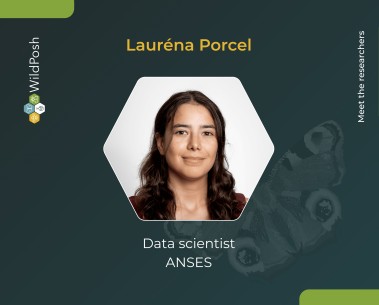 Meet the researchers: Lauréna Porcel
