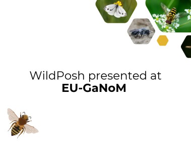 WildPosh presented at EU-GaNoM event in Murcia