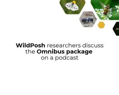 WildPosh researchers discuss the Omnibus package on German gardening podcast